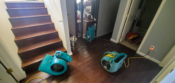 Best Water damage contractors near me  in Hammond, LA