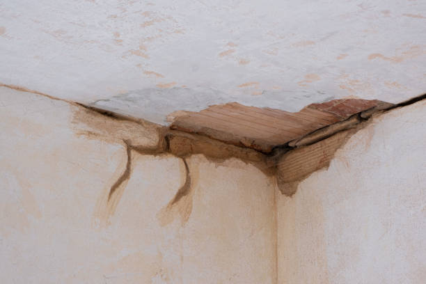 Best Basement water damage restoration  in Hammond, LA