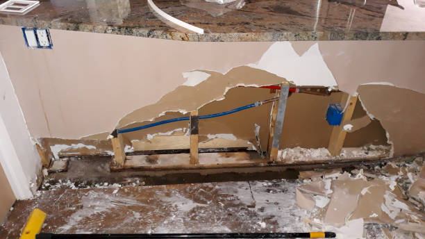 Best 24-hour water damage restoration  in Hammond, LA
