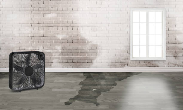 Carpet water damage restoration in LA