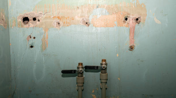 Best Water damage cleanup near me  in Hammond, LA